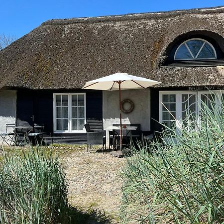 Farm61 Badehotellet I Det Midtjydske - Alder +18 Ar Tjele Экстерьер фото