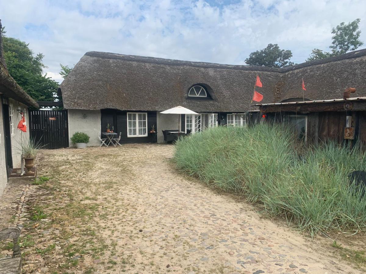 Farm61 Badehotellet I Det Midtjydske - Alder +18 Ar Tjele Экстерьер фото